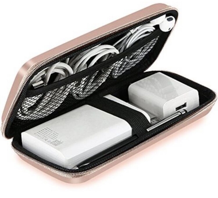 Electrics case
