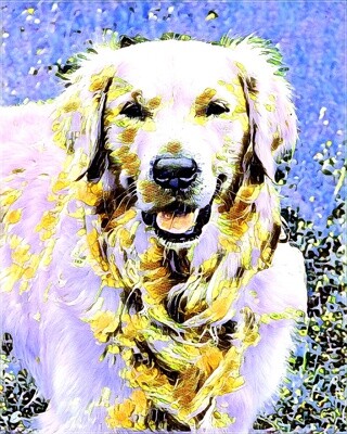 Custom Pop Art Pet Portraits