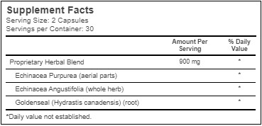 Echinacea