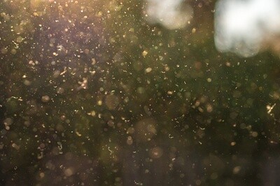 Allergies