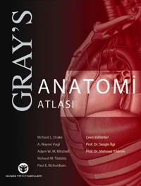 Gray&#39;s Anatomi Atlası