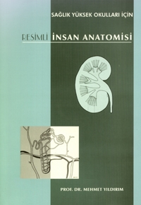 Resimli İnsan Anatomisi
