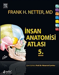 İnsan Anatomisi Atlası