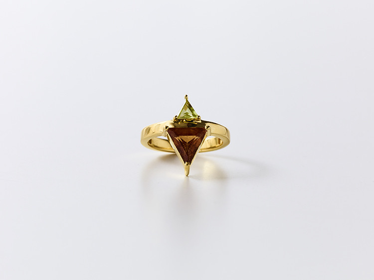 Orangutan in the jungle ring