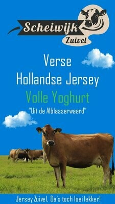 Verse Jersey Volle Yoghurt