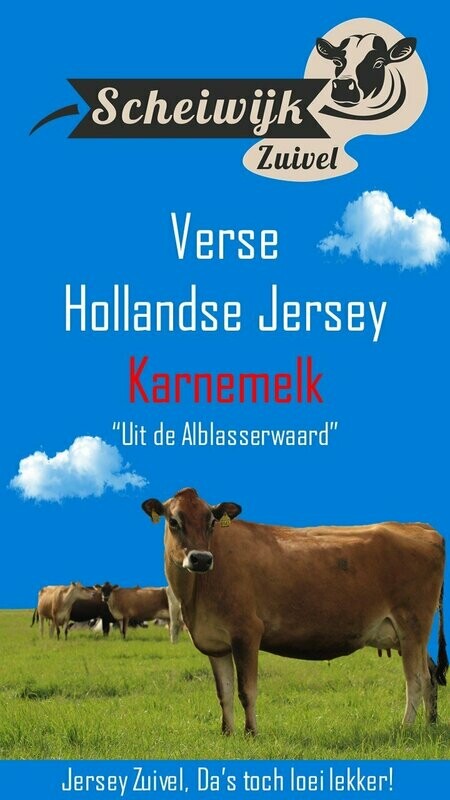 Verse Jersey Karnemelk