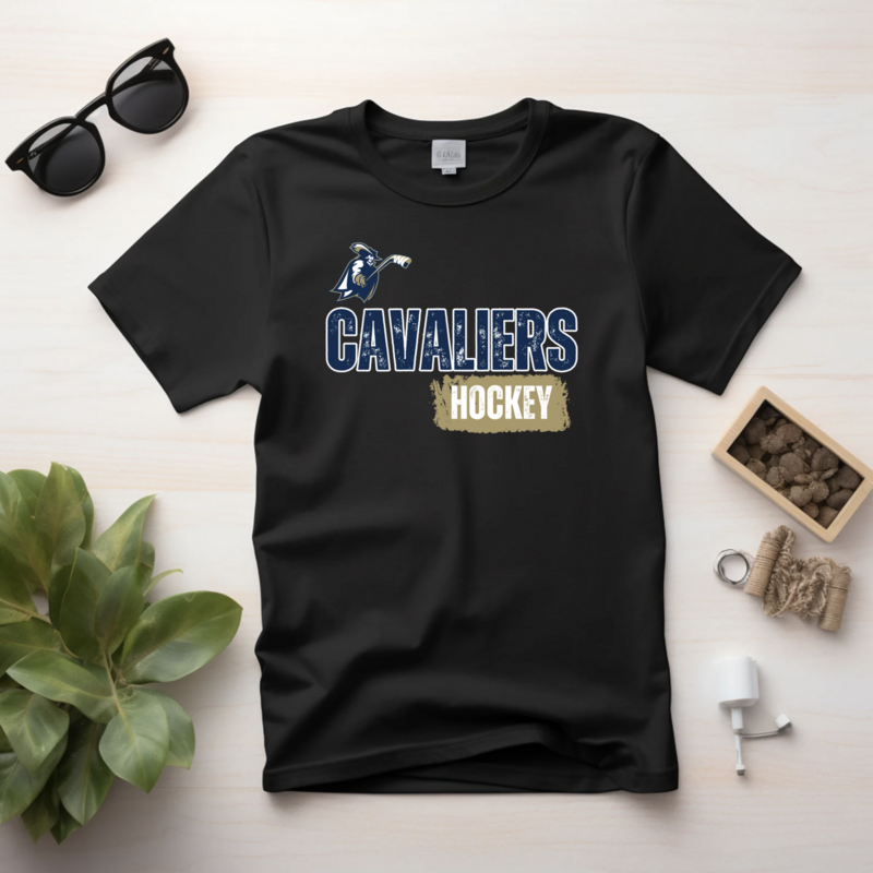 DISTRESSED CAVALIERS