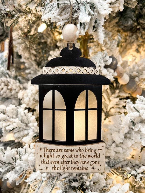 THE LIGHT REMAINS