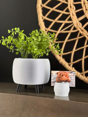 PLANTER