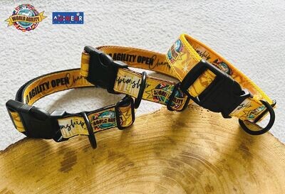 2023 "GOLD" Dog collar / Collier pour chien "GOLD"