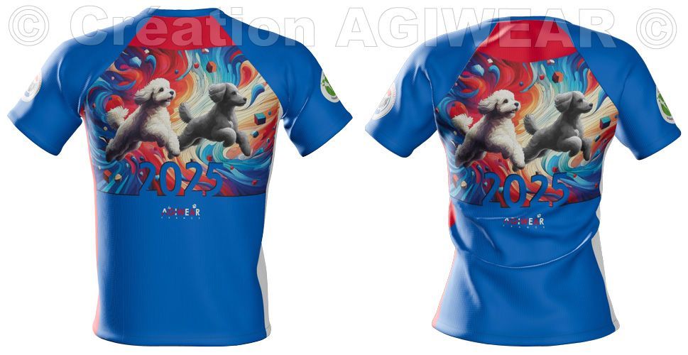 TSHIRT DE SPORT