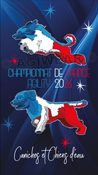 PRECOMMANDE TOUR DE COU/BANDEAU