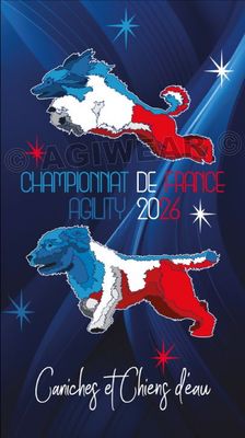 PRECOMMANDE TOUR DE COU/BANDEAU