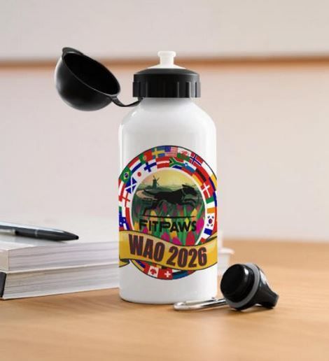 2026 MUGS & CUPS & FLASKS