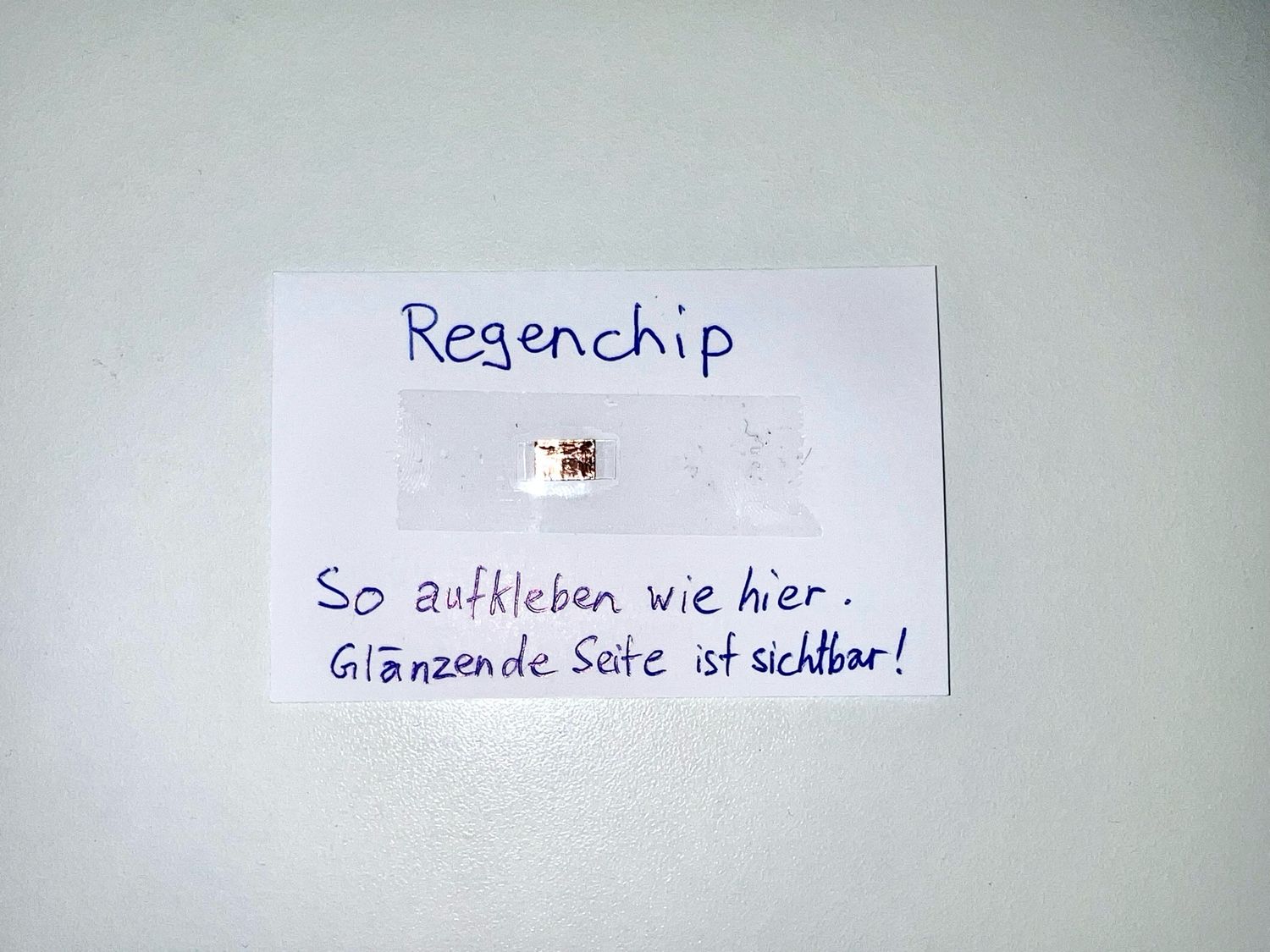 Regenchip