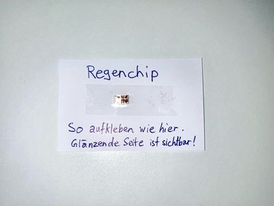 Regenchip