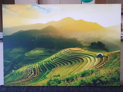 Canvas 'rijstvelden'