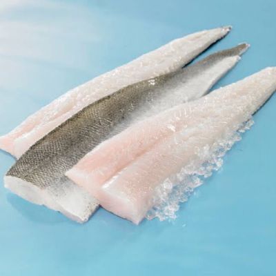 Hake – Fillets (approx 1 Kg 5fillets)