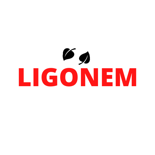 Ligonem