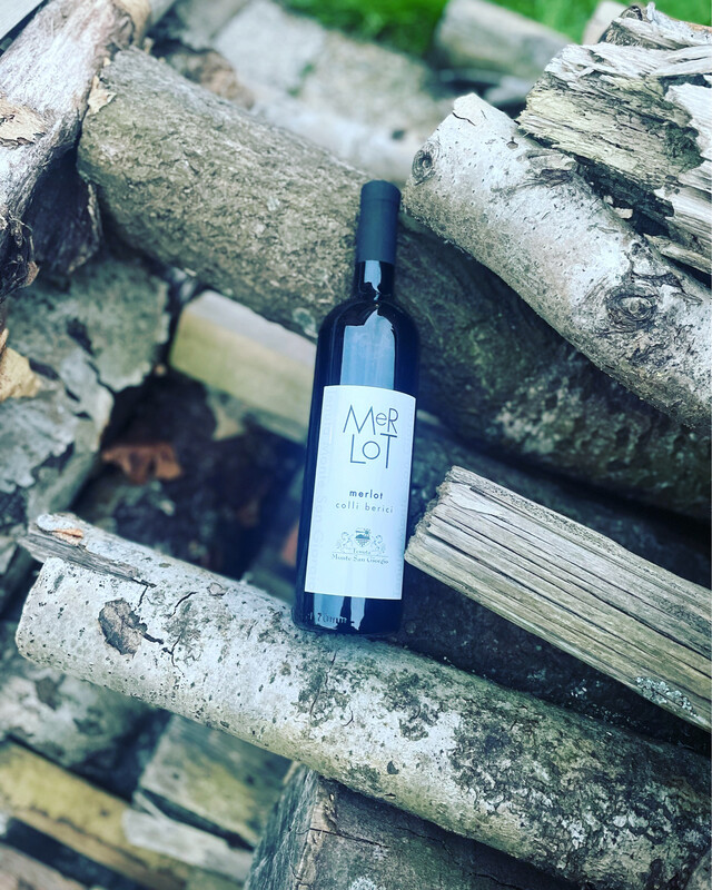 Monte san Giorgio Merlot