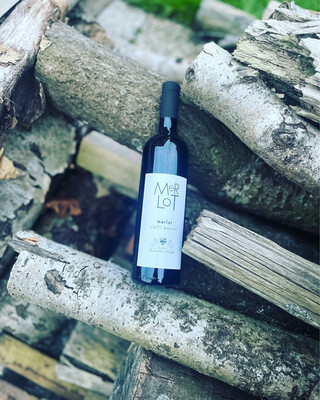 Monte san Giorgio Merlot