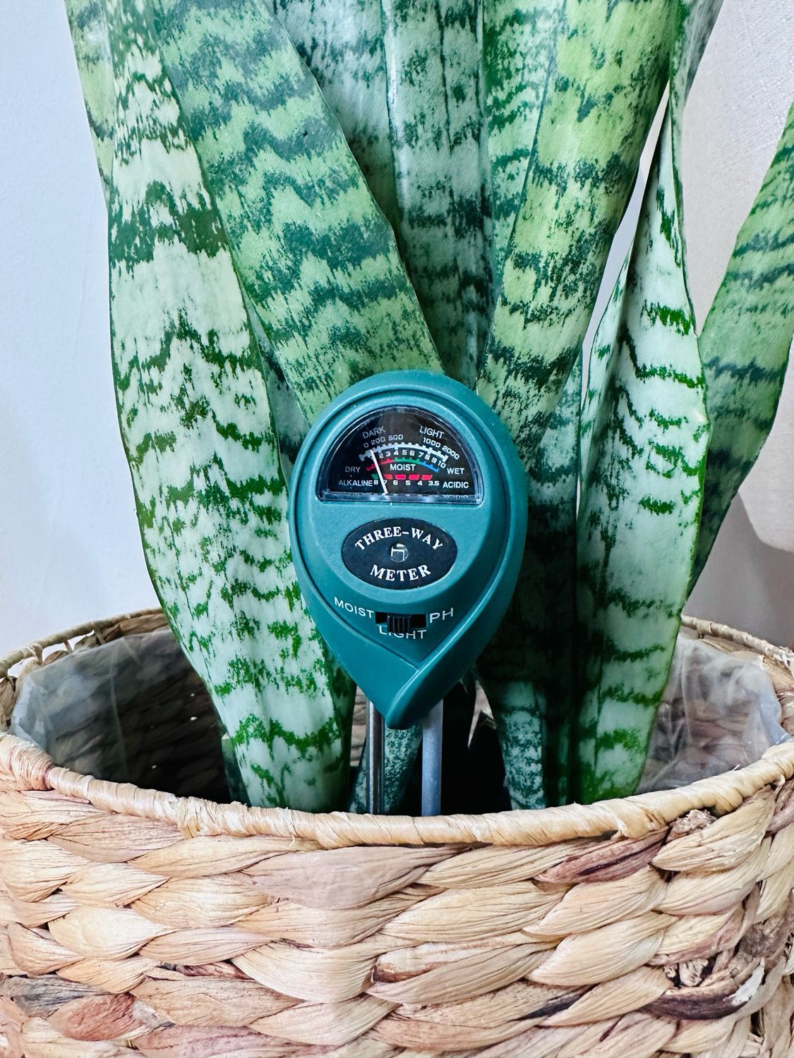 3-in-1 Moisture Meter