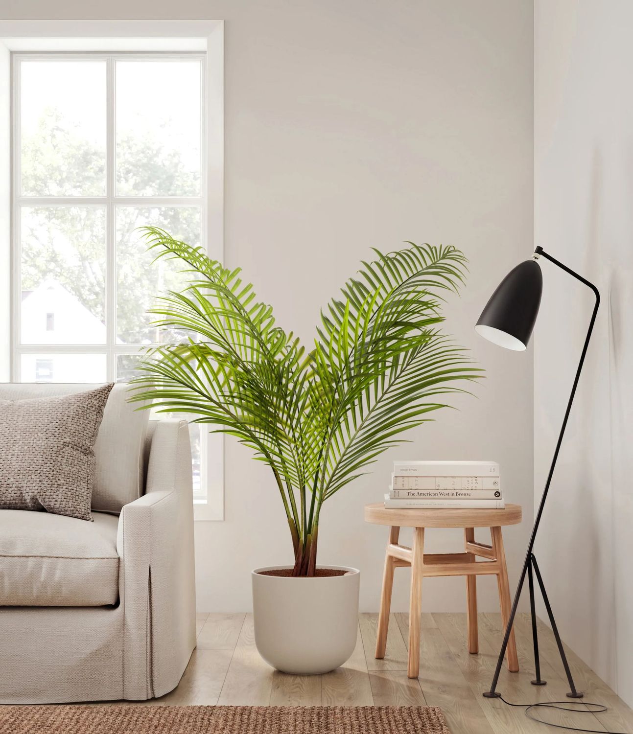 Majestic Palm 200mm