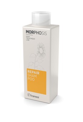 Morphosis Repair Shampoo