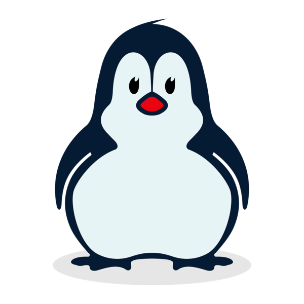 PINGUIN finance - ваш бухгалтер в Чехии