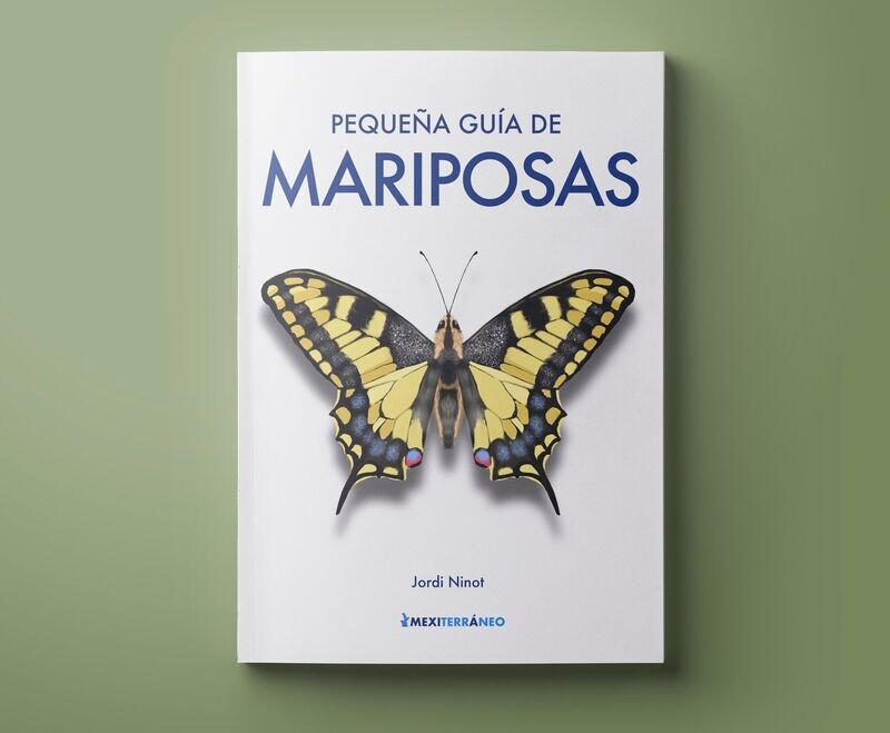 Pequeña guía de mariposas