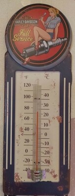 Thermomètres