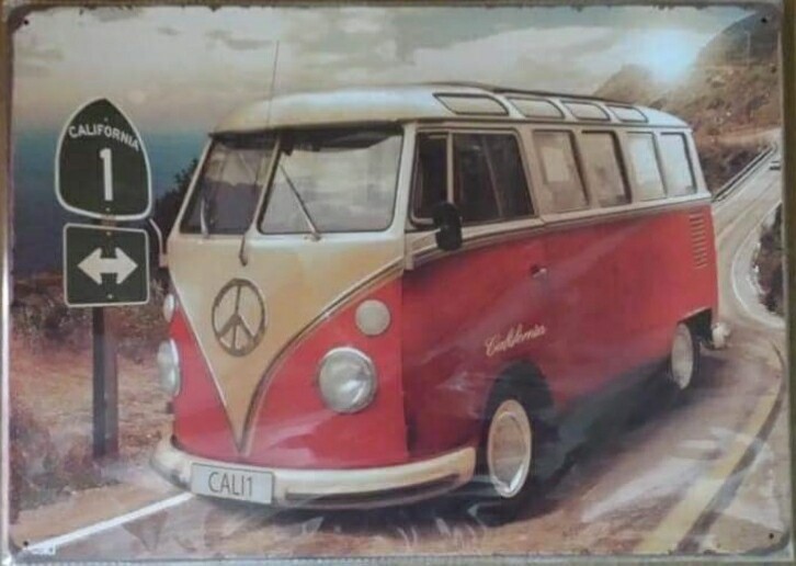 vw combi california