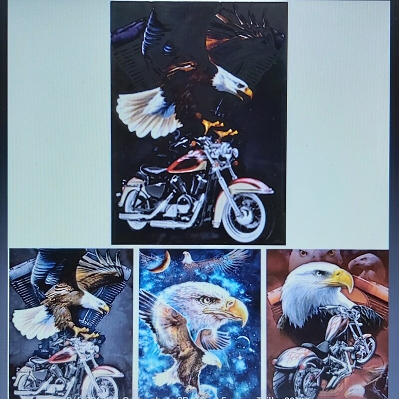 Moto aigle