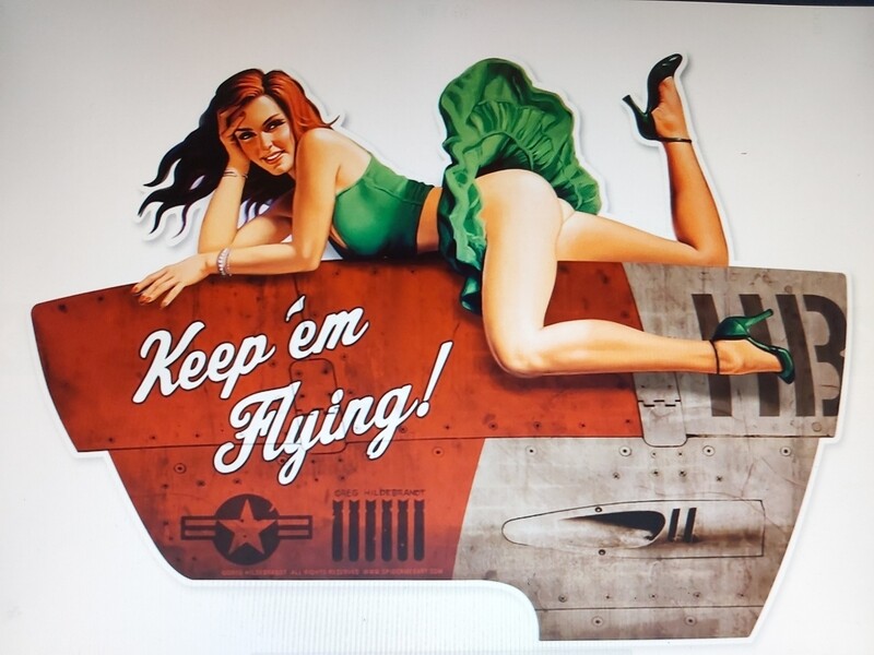 avion militaire avec pin&#39;up