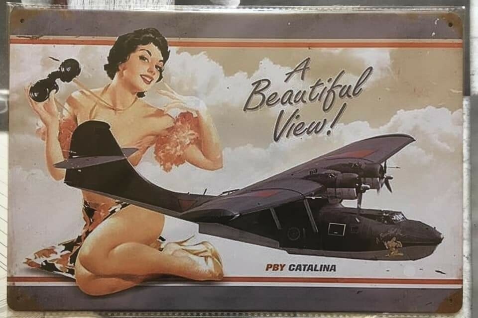 Plaque avion a beautiful view !