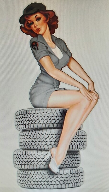 Pin&#39;up pneus garage