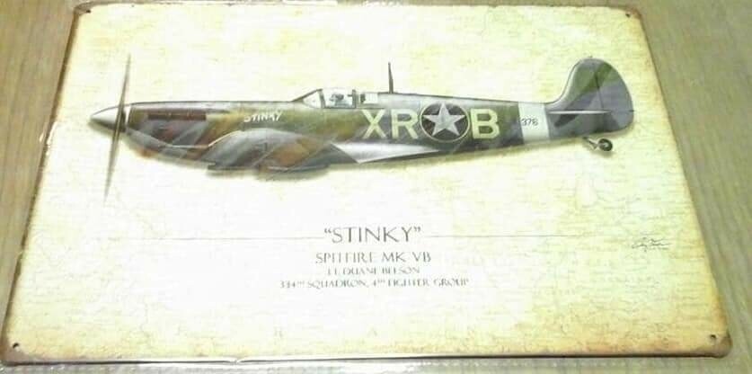 Plaque avion stinky 
