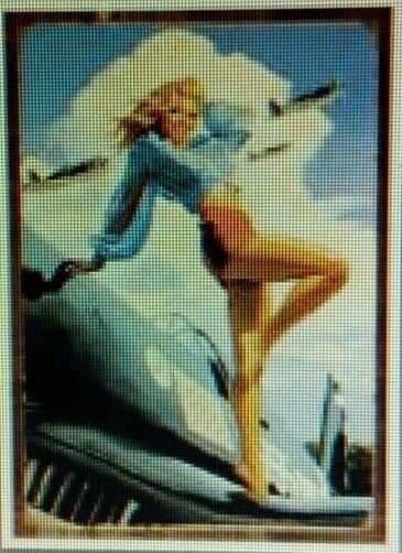 Plaque pin&#39;up sur aile d&#39;avion
