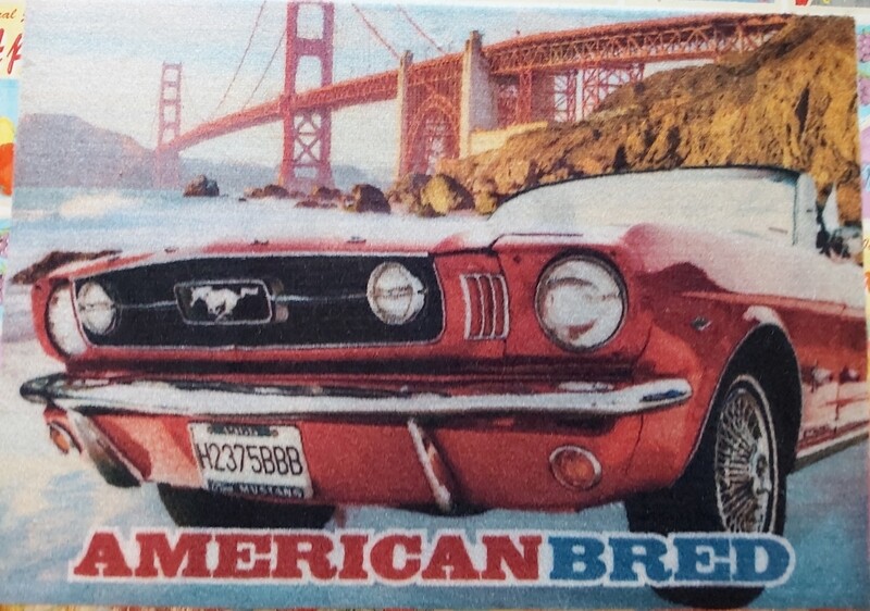 tapis de sol Mustang