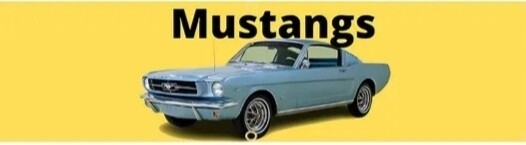Drapeau Mustang 2