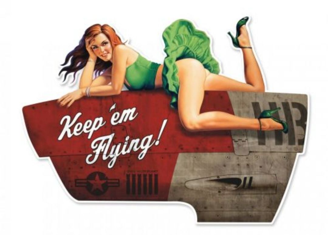 avion militaire avec pin&#39;up
