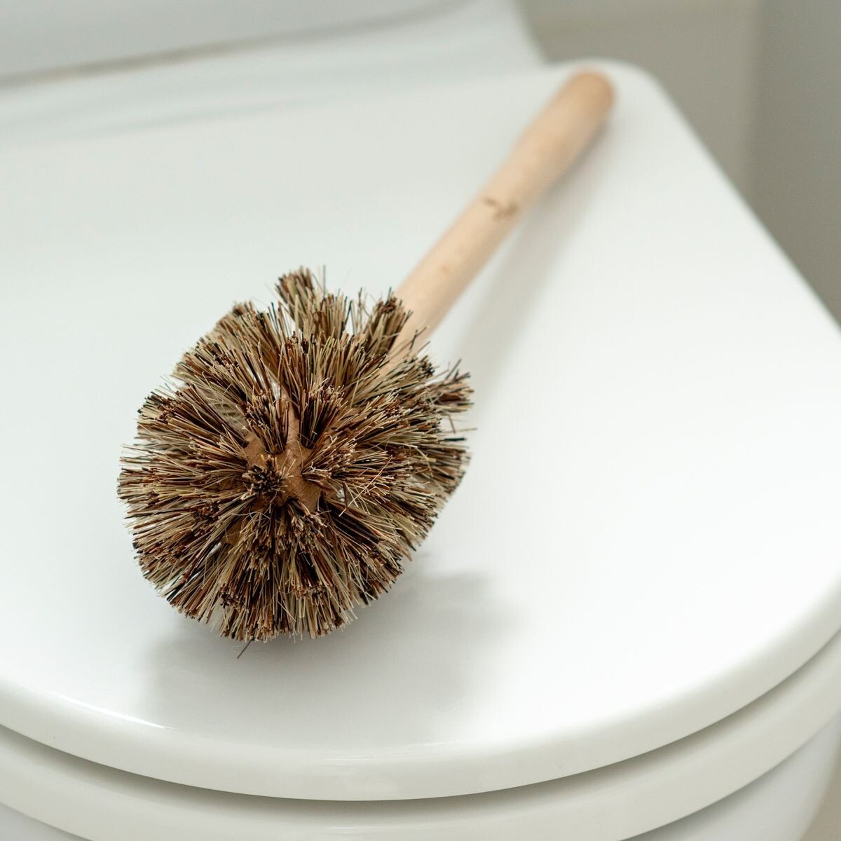 EcoLiving Plastic-Free Toilet Brush