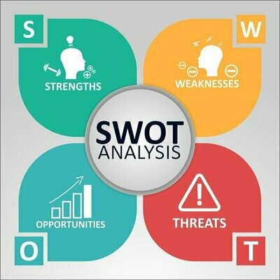 New Business Swot Analysis Report