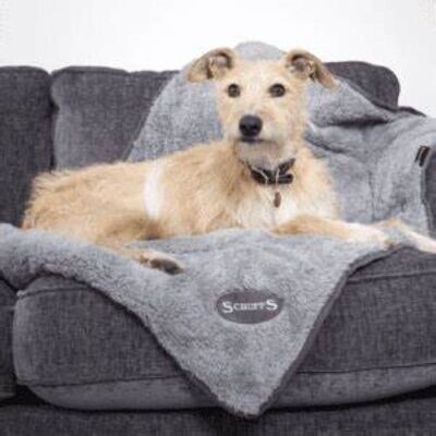 Scruffs Cosy Dog Blanket Grey