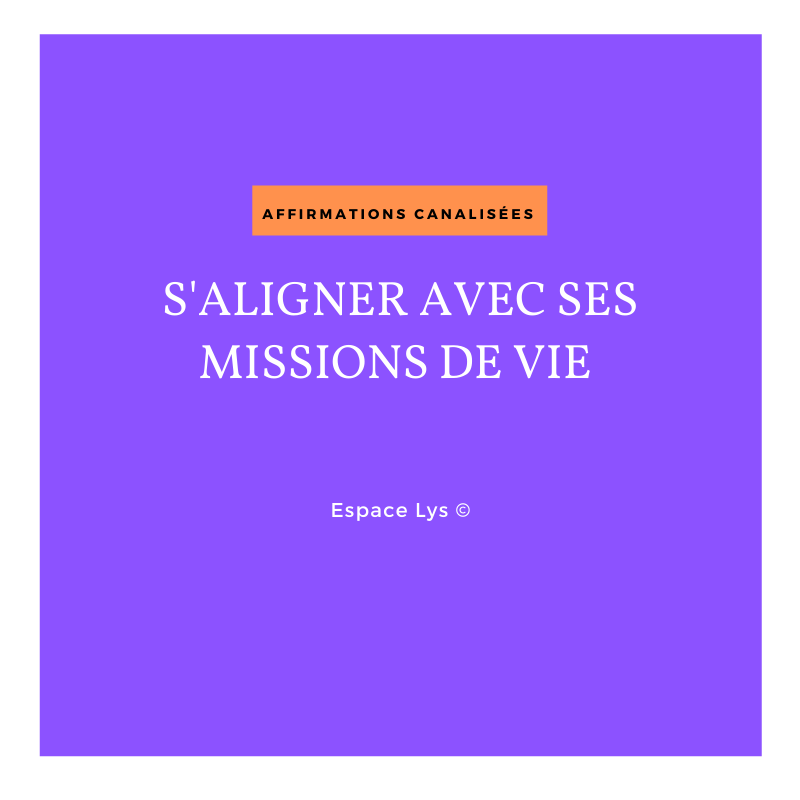 Reprogrammation: S&#39;AILIGNER AVEC SES MISSIONS DE VIE