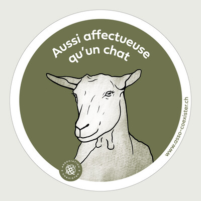 Autocollant &quot;Aussi affectueuse qu&#39;un chat&quot;