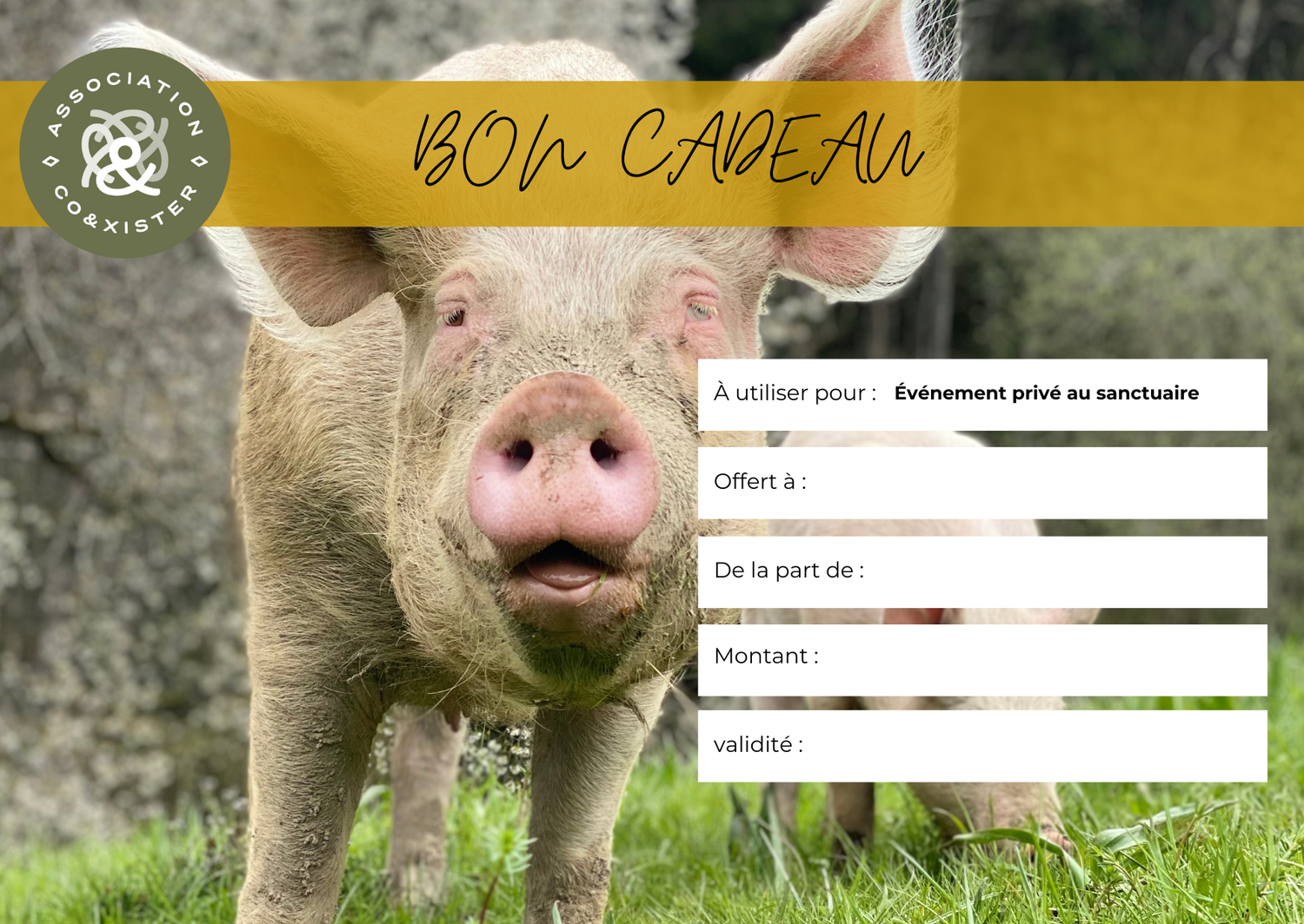 Bon cadeau &quot;Événement privé au sanctuaire&quot;
