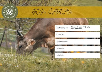 Bon cadeau &quot;30min de câlinothérapie avec les bovins&quot;