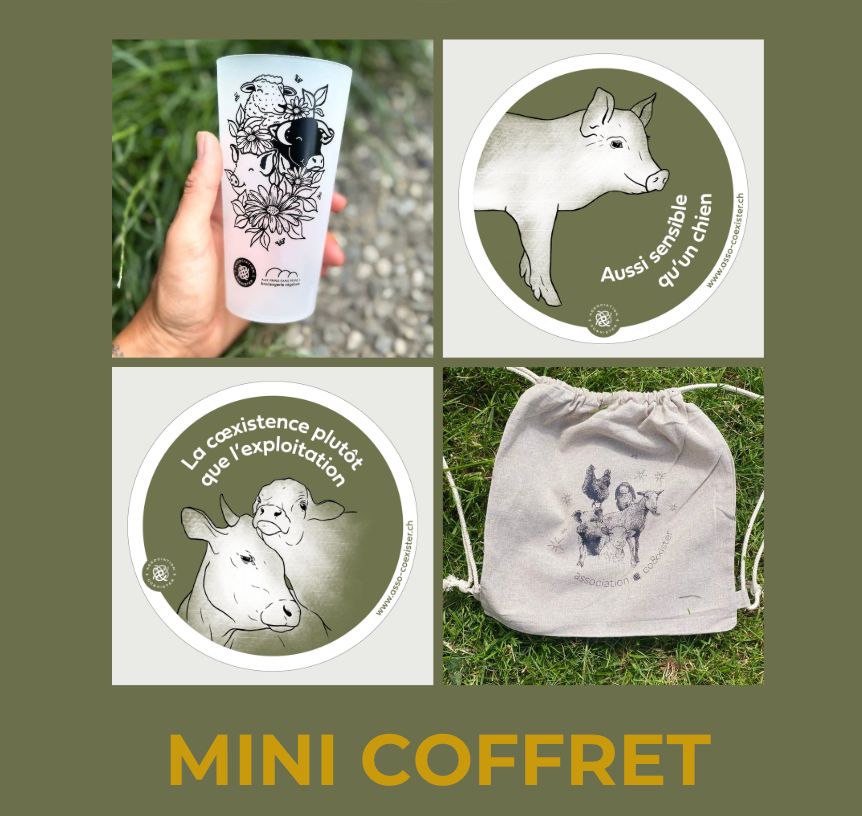 Mini coffret cadeau
