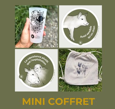 Mini coffret cadeau